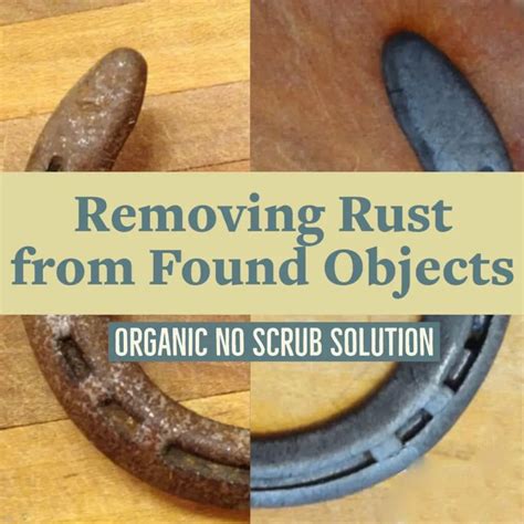 Remove Rust from Tools without Scrubbing – An Easy How To - Hawk Hill