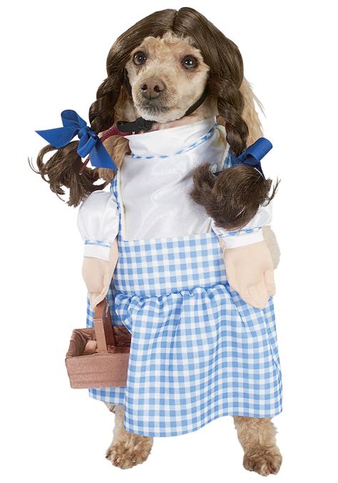 Dorothy Dog Costume