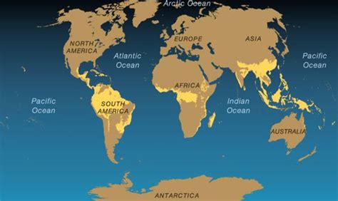 Tropical Rainforests: from carbon sink to source? - Maine Climate Office News - University of ...