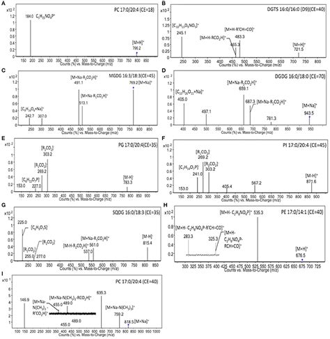 Frontiers | Metabolic Remodeling of Membrane Glycerolipids in the Microalga Nannochloropsis ...