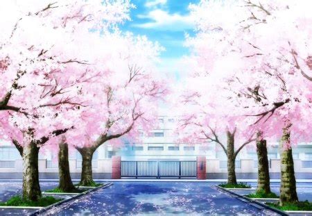 Cherry Blossoms - Other & Anime Background Wallpapers on Desktop Nexus (Image 1326662)