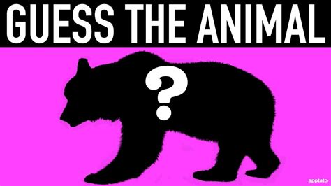 Guess the Animal Quiz #7 | Guess all 20 Animals by Shadow Animal Guessing Game | Family Trivia ...