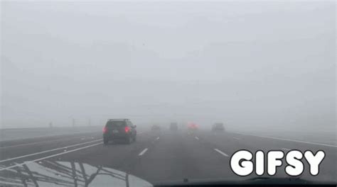 Fog Fog Avondale GIF - Fog Fog Avondale - Discover & Share GIFs