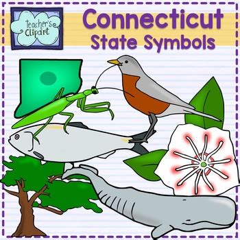 Connecticut State Symbols Clip Art by Teach Simple