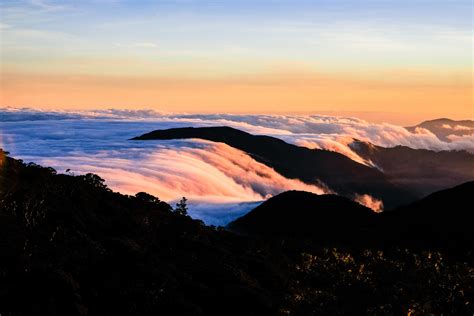 Sea of Clouds from Mt. Pulag Benguet North Luzon Philippines. | Cool ...