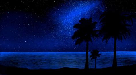 starry night at the beach | Goth/dark/fantasy pics | Pinterest