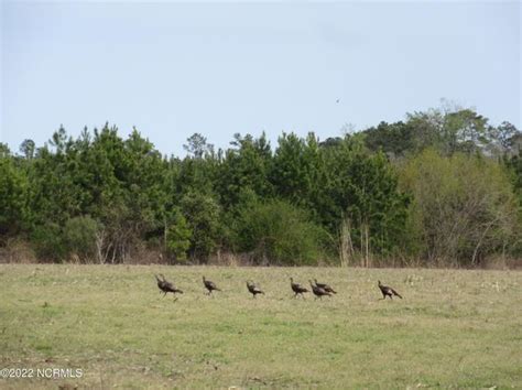 Whiteville Real Estate - Whiteville NC Homes For Sale | Zillow