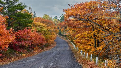 Brockway Drive | Autumn colors along Brockway Mt Drive in Co… | Flickr