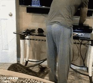 Cat Bite GIF - Cat Bite Butt - Discover & Share GIFs