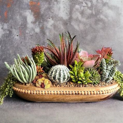 Cactus Arrangement - Etsy