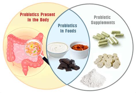 Top Foods with Probiotics - Slideshow