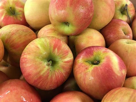 Difference between: Honeycrisp and Fuji - ErinNudi.com