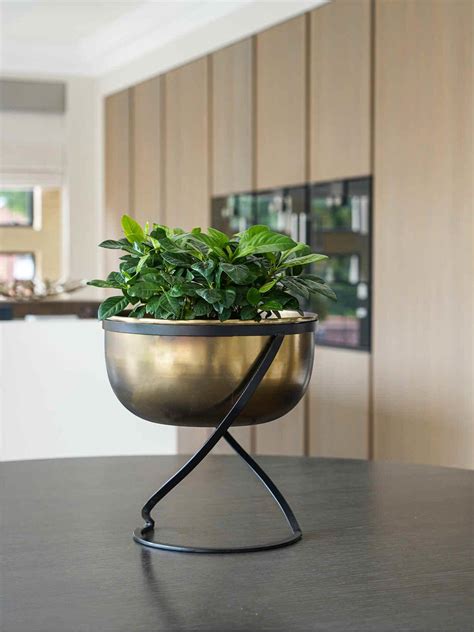 Indoor Planter | Planters Indoor | Indoor Planters UK