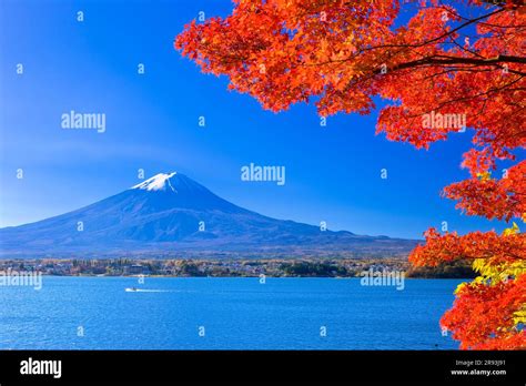 Autumn Leaves of Mount Fuji and Lake Kawaguchi Stock Photo - Alamy