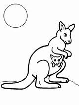 Free Printable Kangaroo Coloring Pages For Kids sketch template