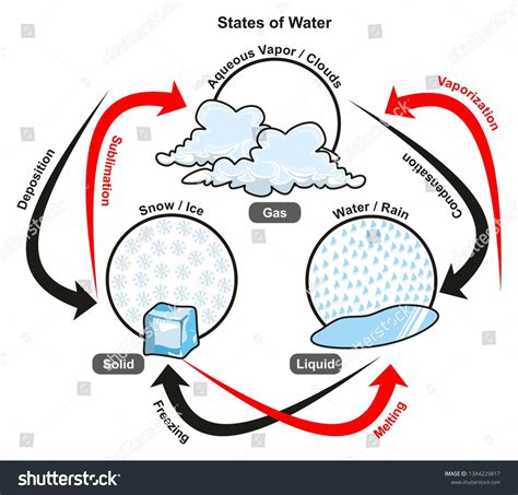 The Opposite of Melting Is Condensation