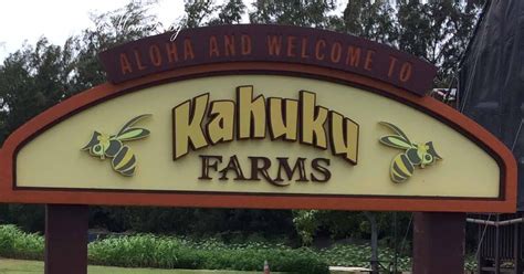 Hawaii Mom Blog: Kahuku Farms - Smoothie Tour