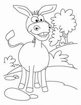 Honkey Donkey Coloring Pages sketch template