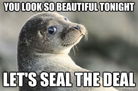 Pin by Teresa Beadle on Funny | Cute seals, Cute animals, Animals beautiful