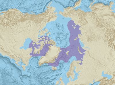 Habitat map of the narwhal (monodon monoceros) | Map, The narwhal, Creatures