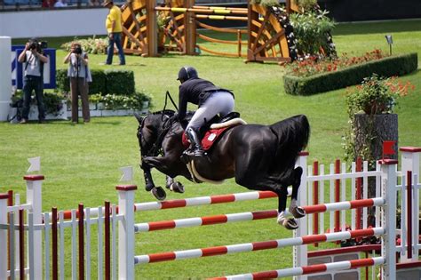 Kostenlose foto : Springreiten, Zaum, Tiersport, Sport, Zügel ...