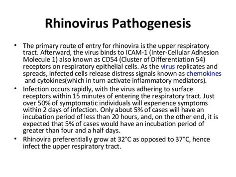 Rhinovirus