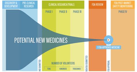 Everything You Need to Know About the Drug Development Process