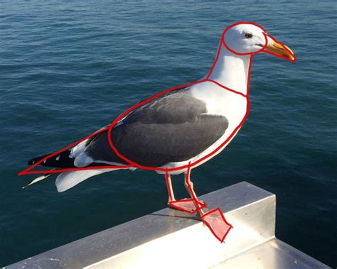 a seagull standing on the edge of a pier