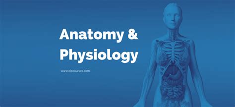 Anatomy and Physiology Online Course | Caduceus International Publishing