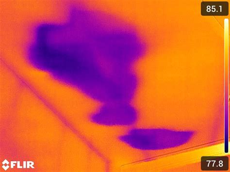 Infrared Thermography - Shelton Consulting Group