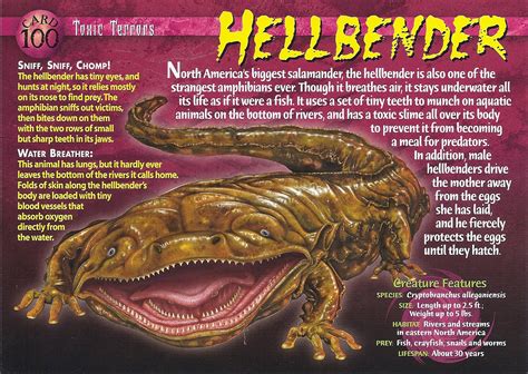 Hellbender - Wierd N'wild Creatures Wiki