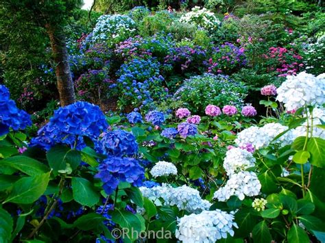 Colourful Photos from Wellington Botanic Garden