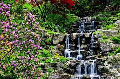 Nature, Water, Waterfalls, Flower, Waterfall, Vegetation, , Garden, HD ...