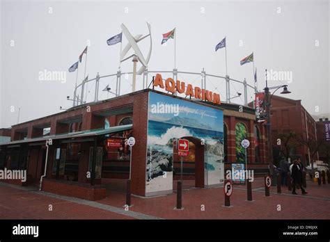 Cape Town Aquarium at the V&A Waterfront Stock Photo - Alamy