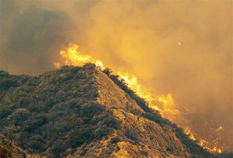 California wildfires bring new fire behavior and fire safety issues to light - The Municipal