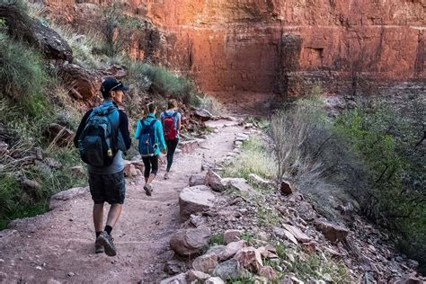 8 Best Grand Canyon Hiking Tour Companies - Territory Supply