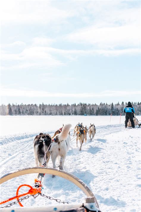 Epic Rovaniemi Winter Itinerary (1 to 5 Magical Days in Lapland) - Find ...