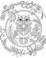 Free Owl Adult Coloring Pages To Print  Nation sketch template