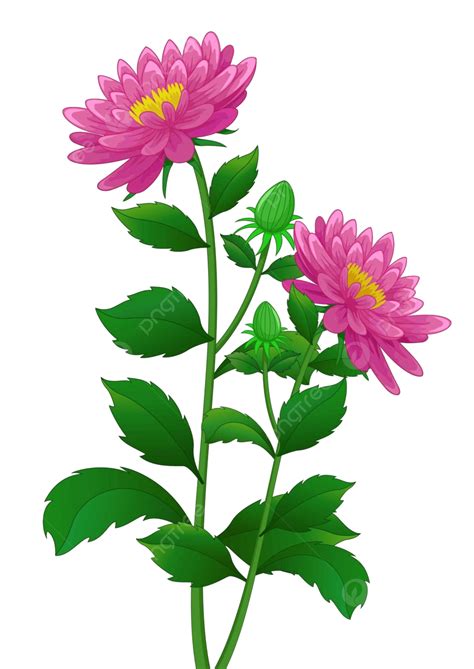 Beautiful Pink Ivy Flower Plant Cartoon Children Mascot Green Vector ...