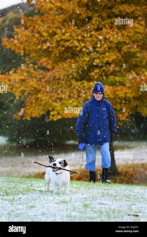 Hugh Ward braves the cold weather whilst walking his dog Barney, a rough haired terrier cross ...