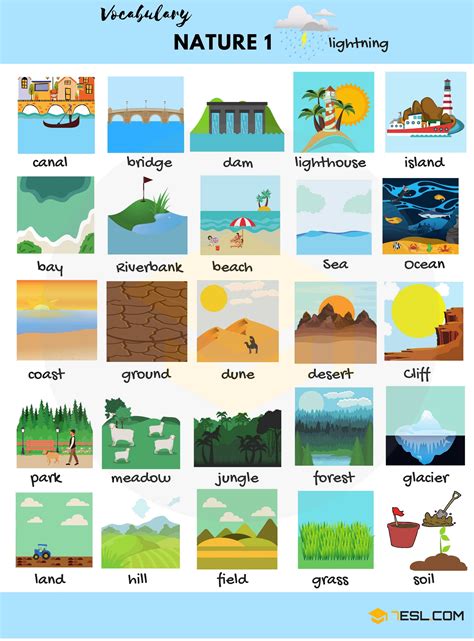 0shares Learn the Natural World and Nature Vocabulary in English through Pictures and Examples ...