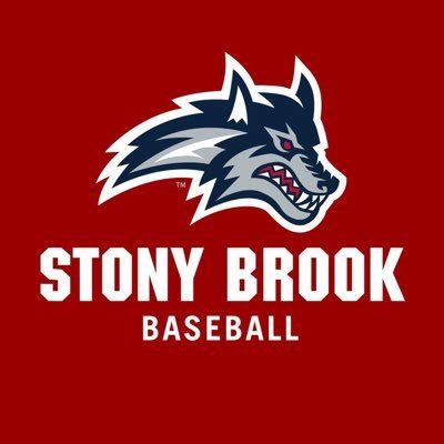 Stony Brook Baseball on Twitter: "𝐓𝐰𝐨 𝐒𝐭𝐫𝐢𝐤𝐞 𝐇𝐢𝐭𝐭𝐢𝐧𝐠 from Cole 🤩 🌊🐺 x ...