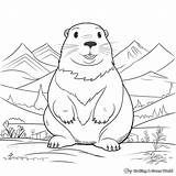 Gopher Coloring Pages  Free & Printable sketch template