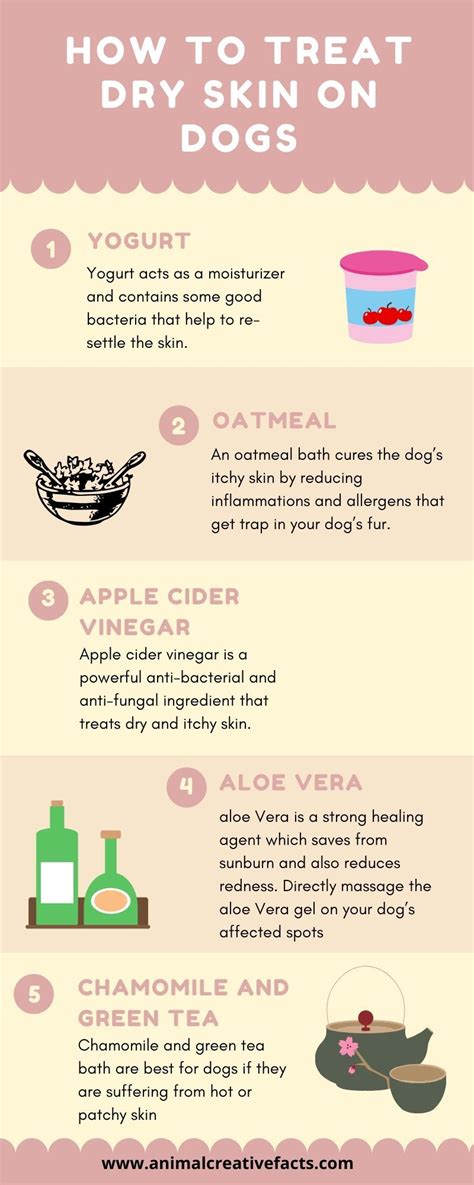 How to treat dry skin on dogs | Dog dry skin, Dog dry skin remedy, Dry ...