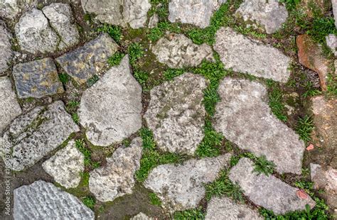 cobblestone with grass texture , stone path with grass texture ...