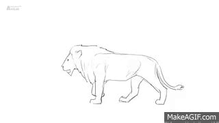 Lion Walking Animation Cycle on Make a GIF