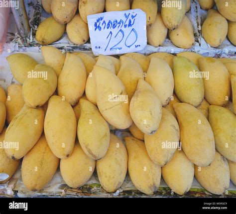 Ripe "Nam Dok Mai" mango on sale. Sign in Thai language saying "Nam Dok Mai 120 Baht Stock Photo ...