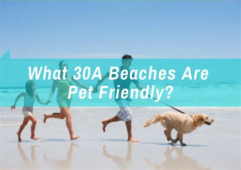 What 30A Beaches Are Pet Friendly? - Emerald Coast Insider