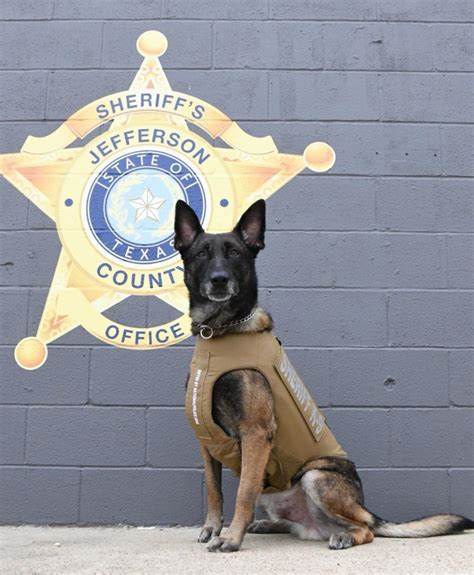 Press Releases - Jefferson County Sheriff’s Office K9 Hunk has received donation of body armor ...