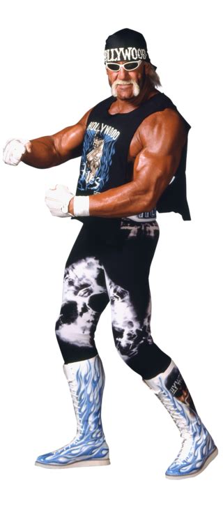 Hulk Hogan Nwo Attire